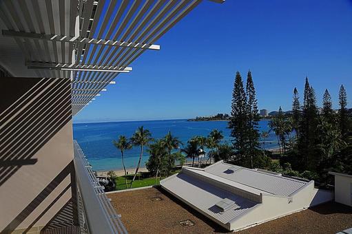 ニューカレドニア371　シトロン湾の写真