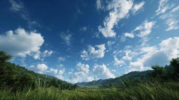 青空と白い雲の下に広がる広大な草原と森 青空と白い雲の下に広がる広大な草原と森の写真