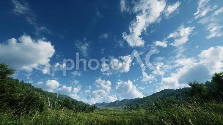 青空と白い雲の下に広がる広大な草原と森 草原,森,林の写真素材