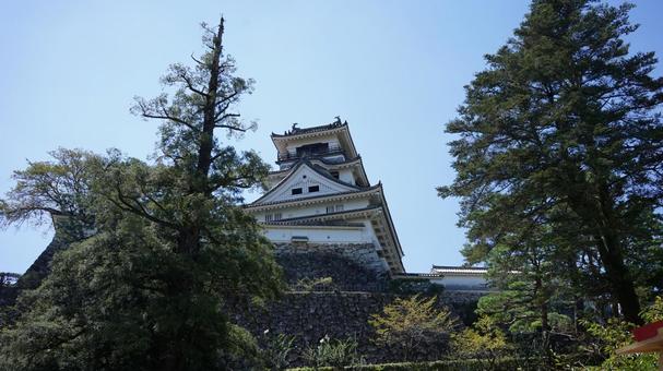 高知城と石垣の雄姿 高知城と石垣の雄姿 高知城,高知県,土佐藩の写真素材