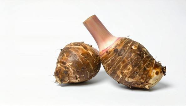 秋の味覚 里芋 白背景 秋の味覚 里芋 白背景の写真