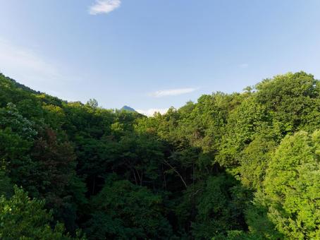 山 山の写真