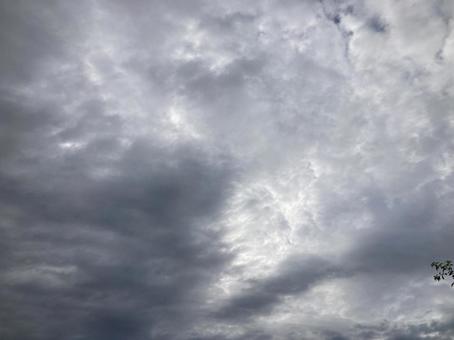 夏の曇り空 夏の曇り空の写真