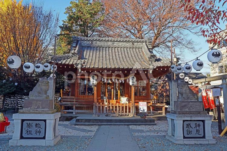 川越熊野神社（川越） 熊野神社,熊野大神,旧村社の写真素材