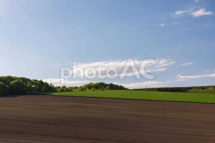 のどかな畑のある風景 畑,青空,田舎の写真素材