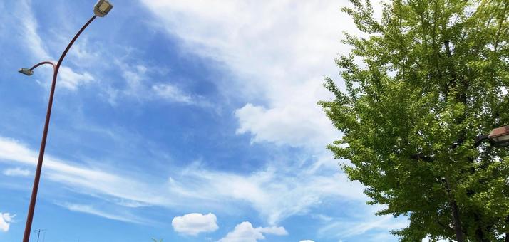 夏の空9 夏の空9 夏,空,雲の写真素材