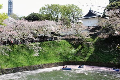 田安門を望む 花筏はないかだ 田安門を望む 花筏はないかだの写真