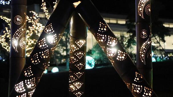 はままつフラワーパーク　竹灯り イルミネーション,夜景,クリスマスの写真素材