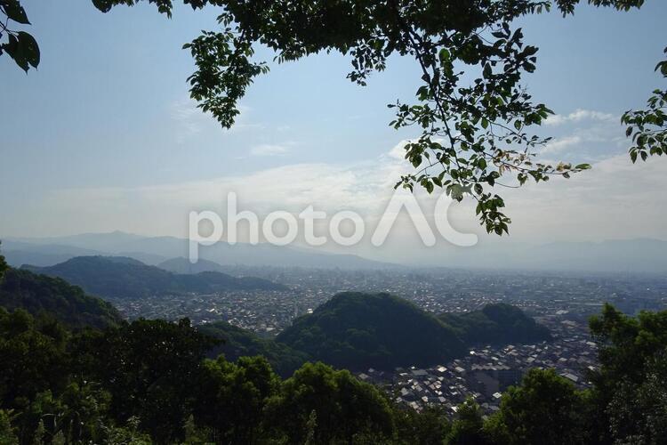 松山市 風景,木,山の写真素材