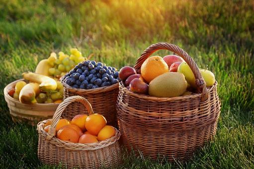 沢山のフルーツ (4) 沢山のフルーツ (4)の写真