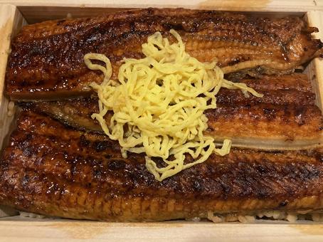 鰻のせいろ蒸し 鰻のせいろ蒸し 国産鰻,錦糸卵,鰻の写真素材