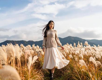 秋・ススキ野原の彼女 秋・ススキ野原の彼女の写真