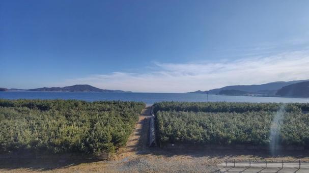 海に続く道 秋,秋晴れ,登山の写真素材
