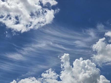 夏の空8 夏の空8の写真