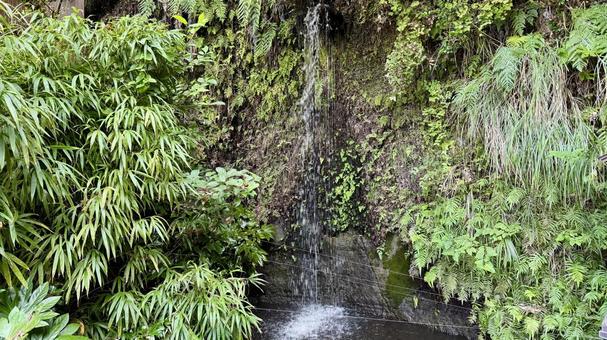 銭洗水 銭洗水の写真