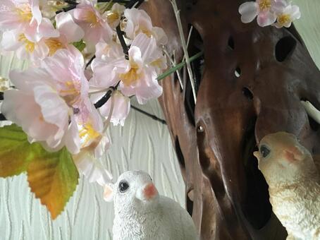 うさぎの小物と桜 うさぎの小物と桜の写真