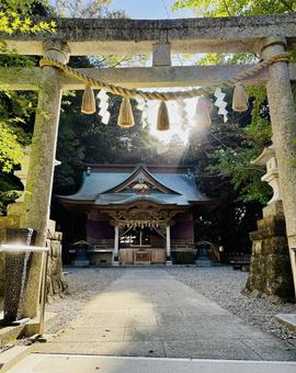 神々しい神社 神々しい神社 茨城県,日立市,泉神社の写真素材