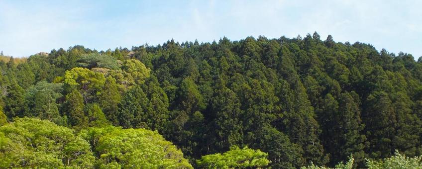 春の山 春の山 山,春,春の山の写真素材