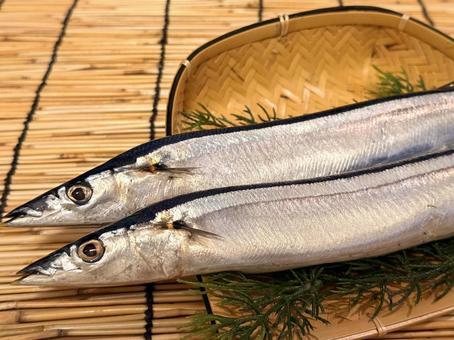 秋の味覚 秋刀魚 秋の味覚 秋刀魚の写真
