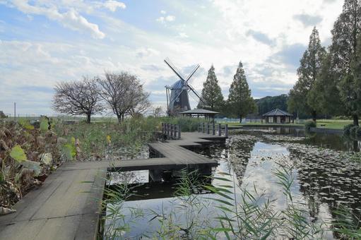 柏市のあけぼの山農業公園の風車のある風景 あけぼの山農業公園,柏市,風車の写真素材