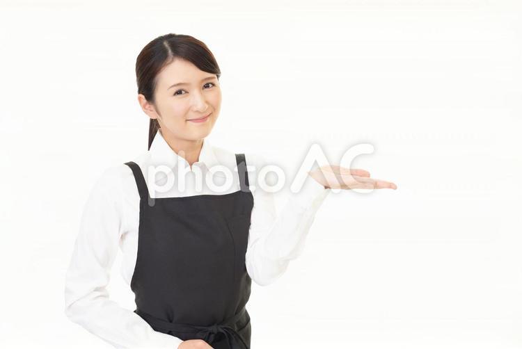 エプロン姿の女性　案内 エプロン,ウェイトレス,レストランの写真素材