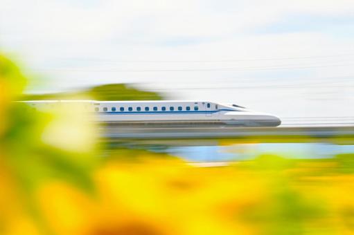 Sunflower fields and a fast-paced Shinkansen train, JPG Sunflower fields and a fast-paced Shinkansen train, JPG