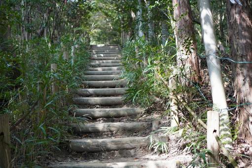 登山道の階段 登山道の階段の写真