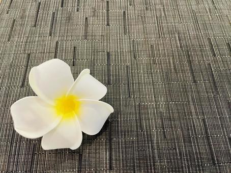 Plumeria, JPG Plumeria, JPG