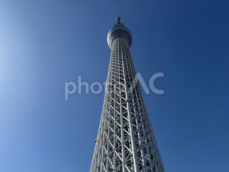 東京スカイツリー スカイツリー,晴天,風景の写真素材