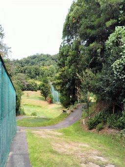 【ゴルフコース】早朝のパースリーホール ゴルフ,ゴルフコース,ゴルフライフの写真素材