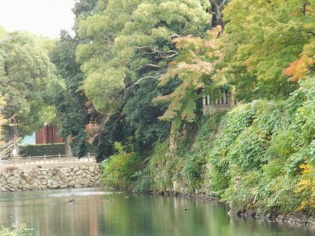 【風景写真】姫路城の風景 【風景写真】姫路城の風景の写真