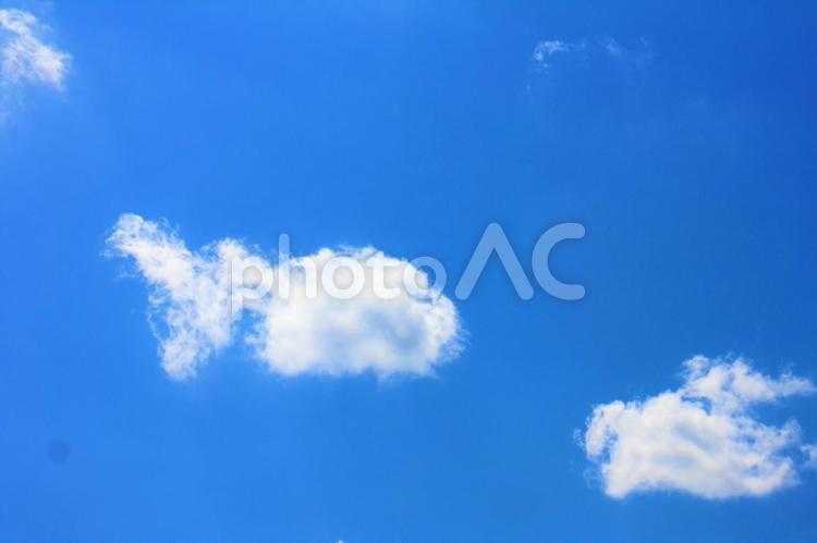 金魚のような雲 雲,形,白いの写真素材