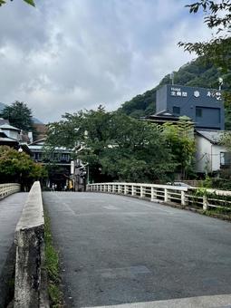 箱根の風景 箱根,植物,自然の写真素材