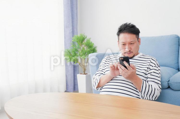 部屋でスマホを使う男性 チェック,部屋,ソーシャルの写真素材
