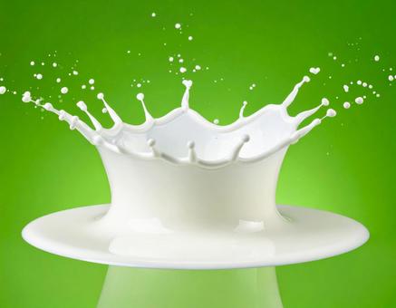 ミルククラウン ミルククラウンの写真