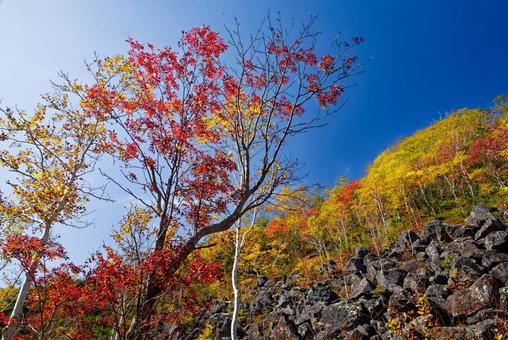 千畳くずれと紅葉 千畳くずれと紅葉 千畳くずれ,紅葉,然別の写真素材