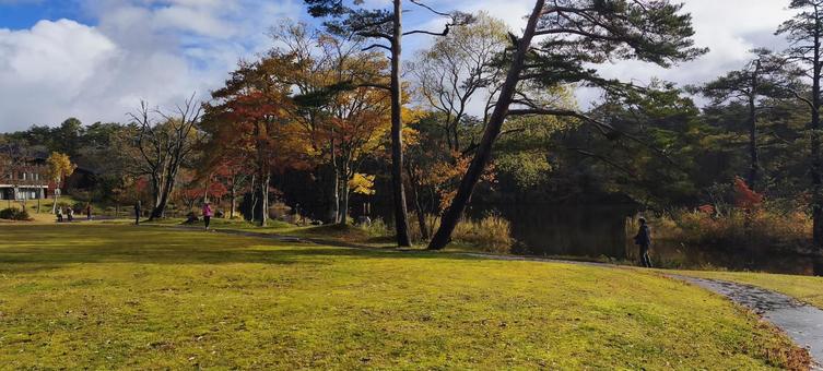 朝の散策(裏磐梯高原） 自然,秋,紅葉の写真素材