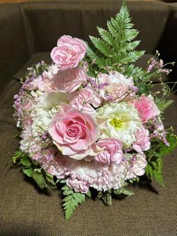 Photo, flower, flour, hobby, 