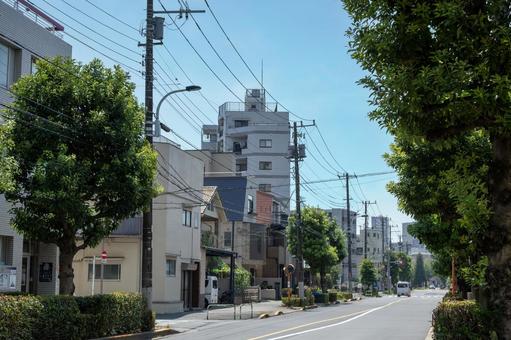 夏の住宅地と道路 街,アスファルト,夏の写真素材