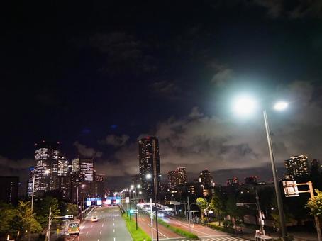 晴海の夜景・晴海通りの歩道橋からの眺め 晴海の夜景・晴海通りの歩道橋からの眺め 晴海,夜景,晴海通りの写真素材