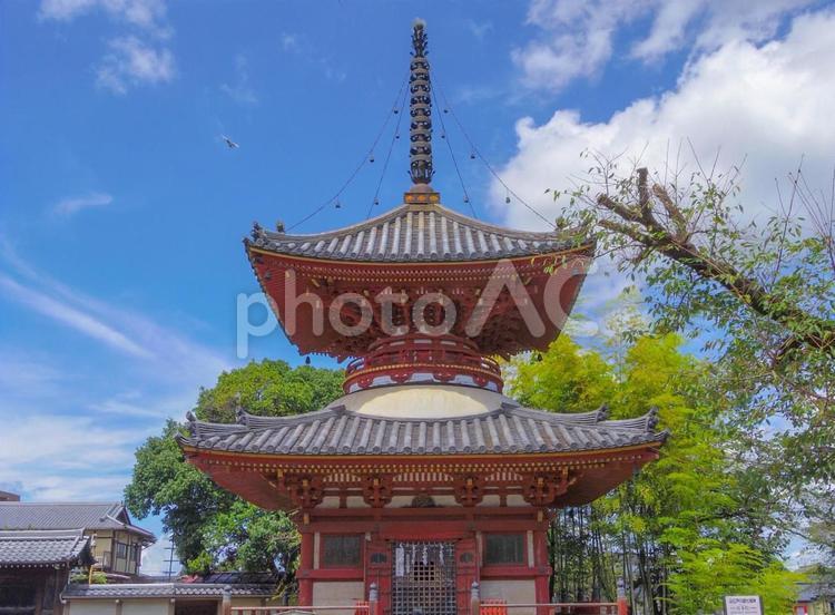 【埼玉県】川越市の喜多院多宝塔 埼玉県,川越市,喜多院の写真素材