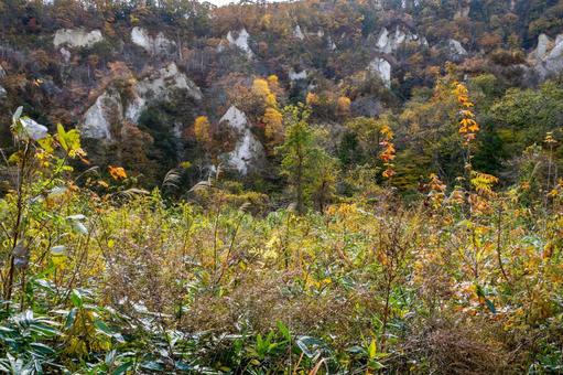 白岩の秋⒀ 秋,紅葉,黄葉の写真素材