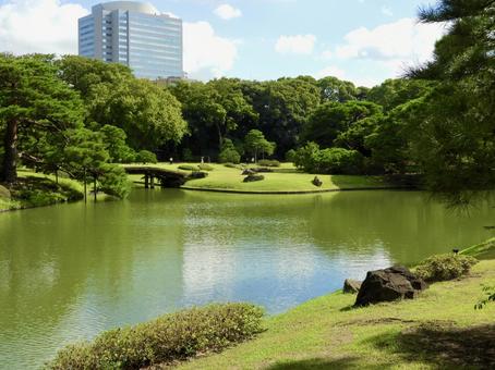 特別名勝六義園5 特別名勝六義園5 六義園,庭園,大名庭園の写真素材