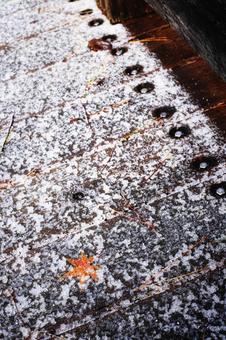冬の散歩道 冬の散歩道の写真
