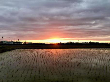 水田と夕焼け 水田と夕焼けの写真