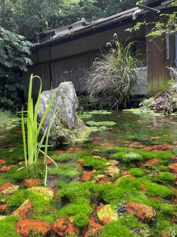 日本の美しい小川と建物 日本の美しい小川と建物 栗林公園,庭園,日本庭園の写真素材