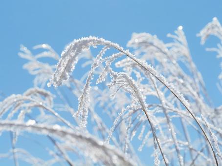 雪景色・冬の登山道(高ボッチ山) 雪景色・冬の登山道(高ボッチ山)の写真