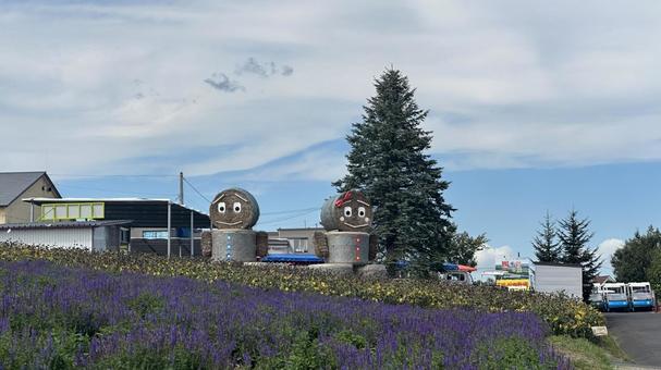 四季彩の丘 四季彩の丘,美瑛,北海道の写真素材