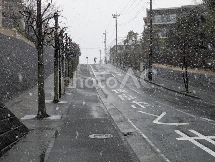 春分前日の横浜市北部の雪が降る坂道 上り坂,登り坂,急坂の写真素材