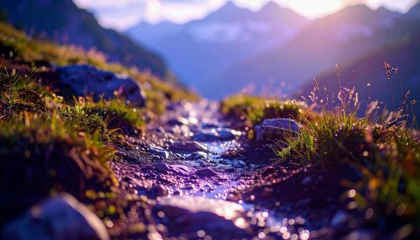 ハイキングコースの山道 ハイキングコースの山道の写真